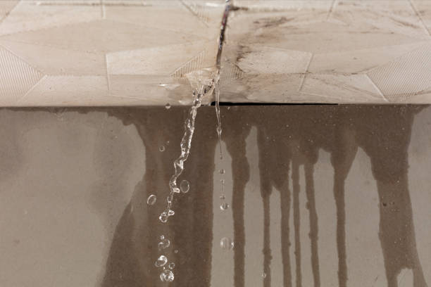 Professional Water Damage Repair technician working in Riverview, DE
